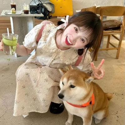 犬饲先生养狗记
